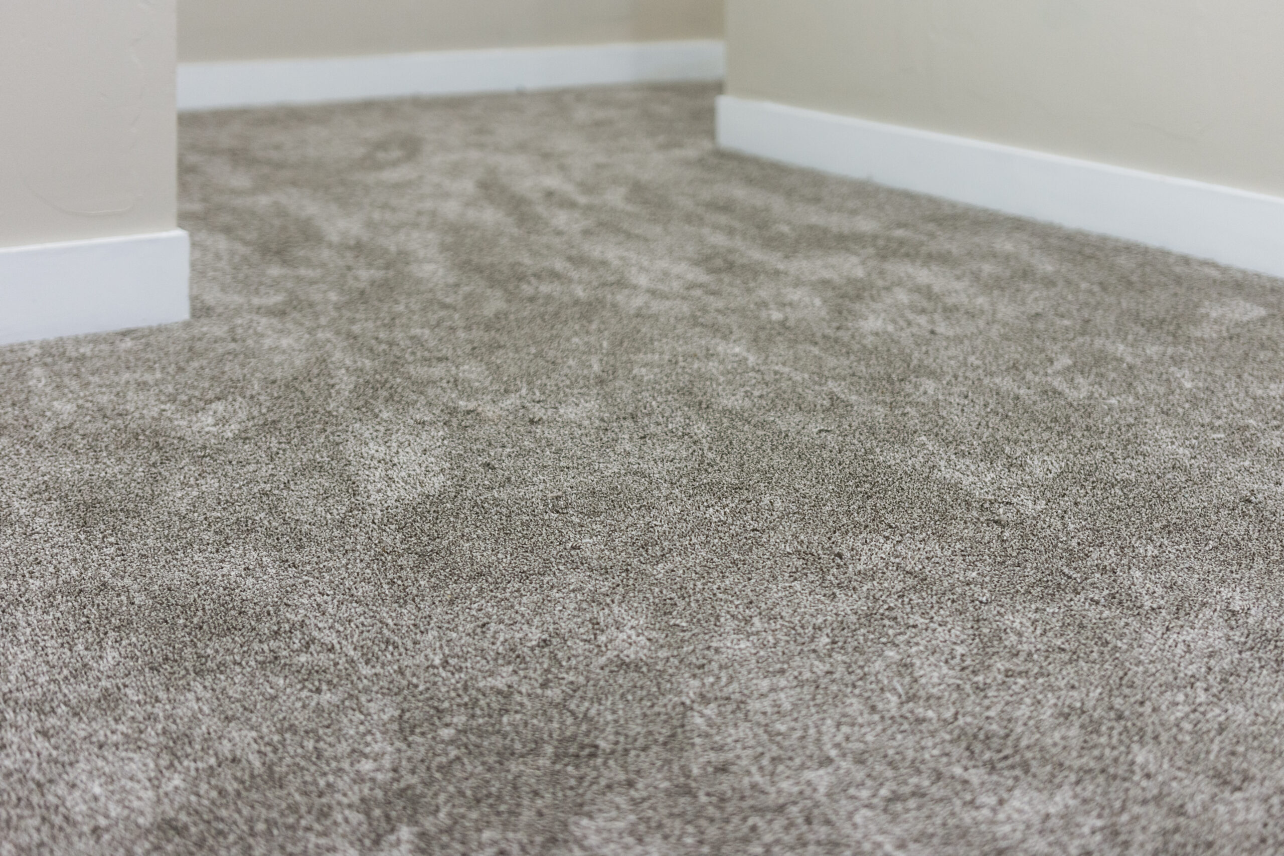 Refresh Your Space with New Carpet